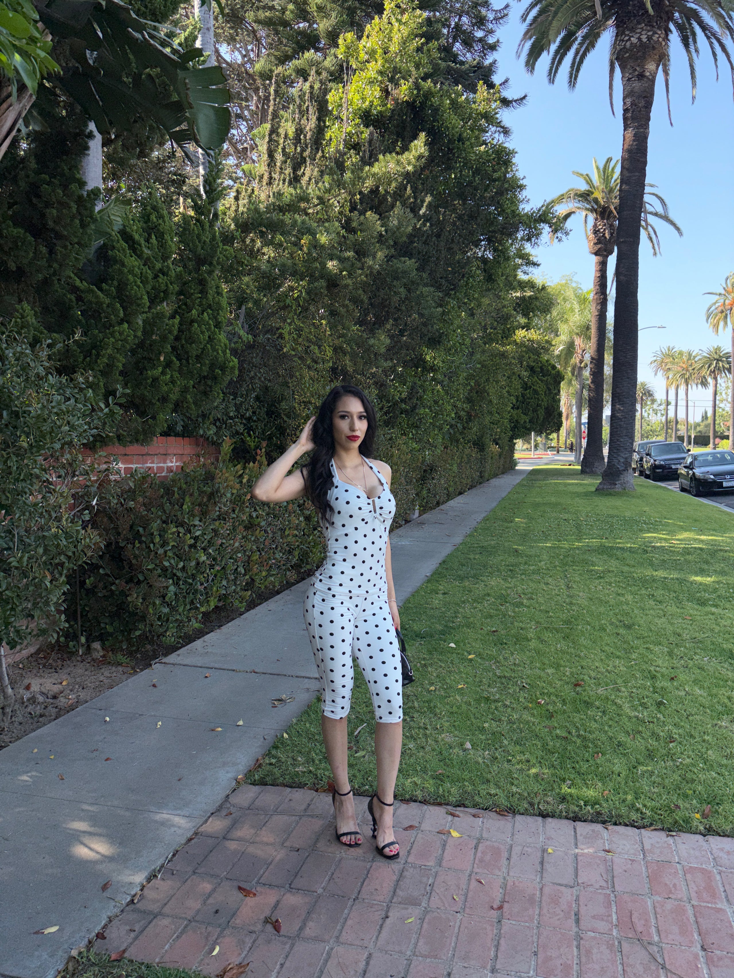 Timeless Dot Set